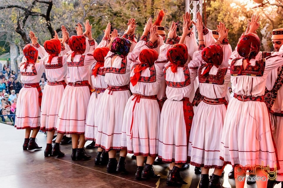 Concert Florile Bihorului, Oradea