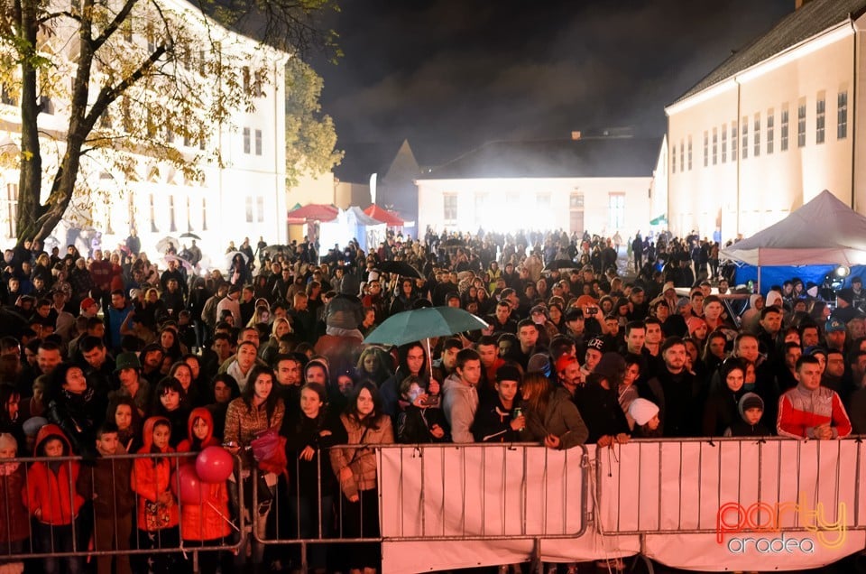 Concert Fly Project, Cetatea Oradea