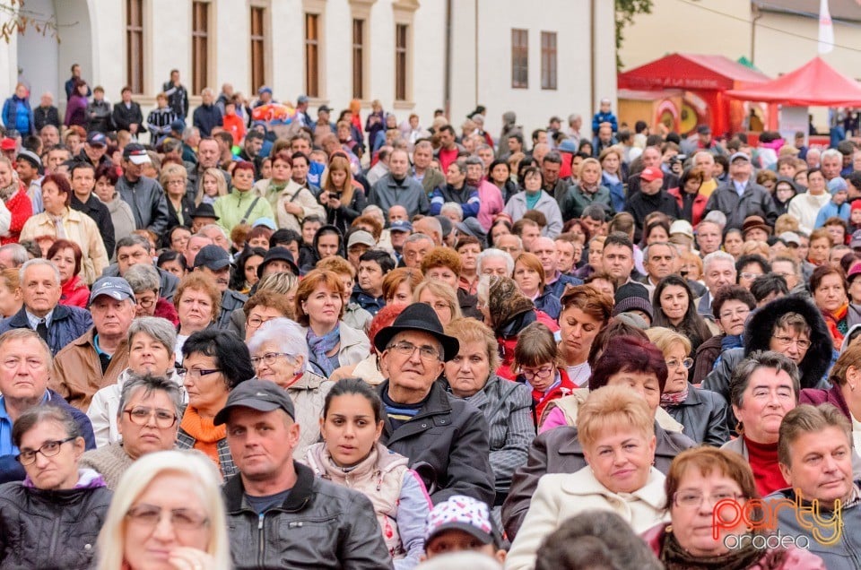 Concert folcloric, Cetatea Oradea