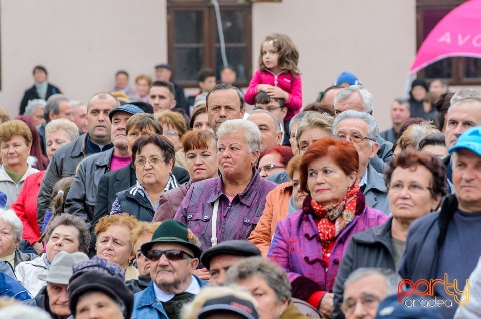 Concert folcloric, Cetatea Oradea