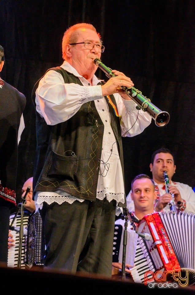 Concert folcloric, Cetatea Oradea