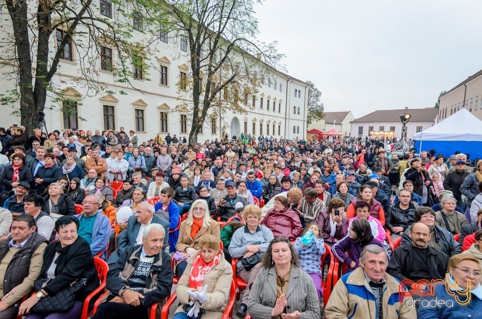 Concert folcloric, Cetatea Oradea