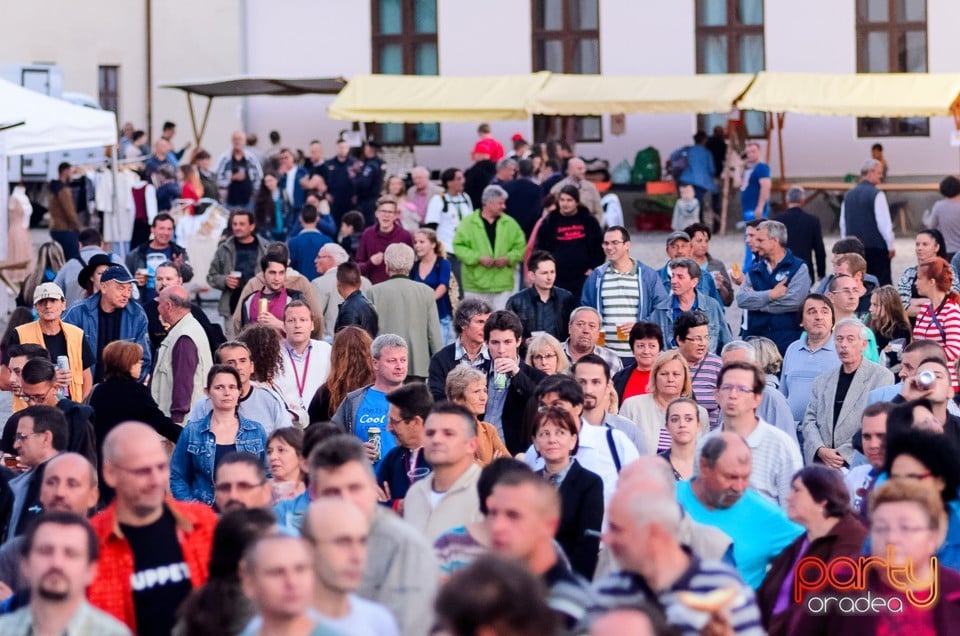 Concert Hobo, Oradea