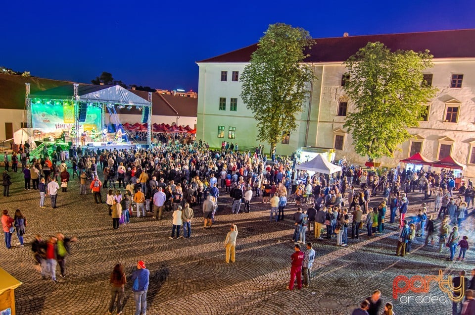 Concert Hobo, Oradea