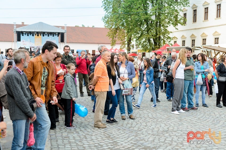 Concert Hollóének Hungarica, Oradea