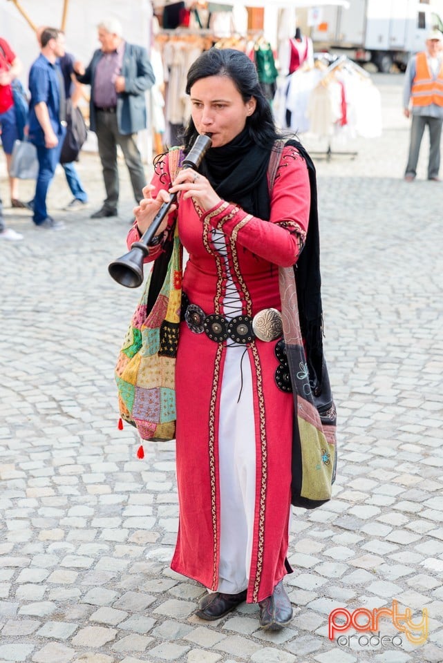 Concert Hollóének Hungarica, Oradea