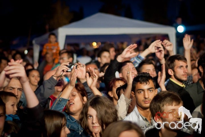 Concert Holograf @ Lotus Center, Lotus Center