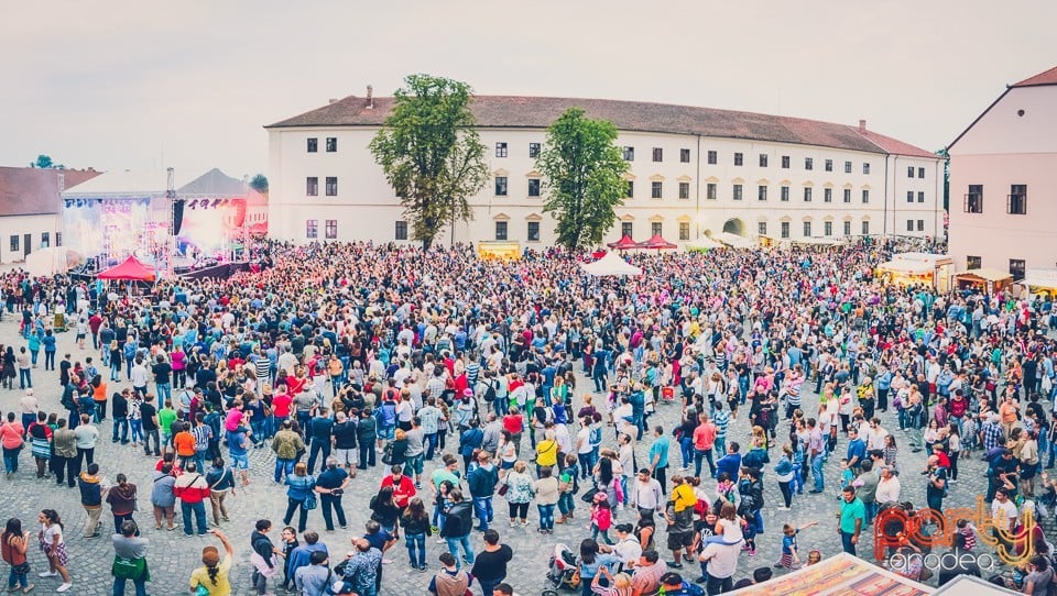 Concert Hooligans, Oradea