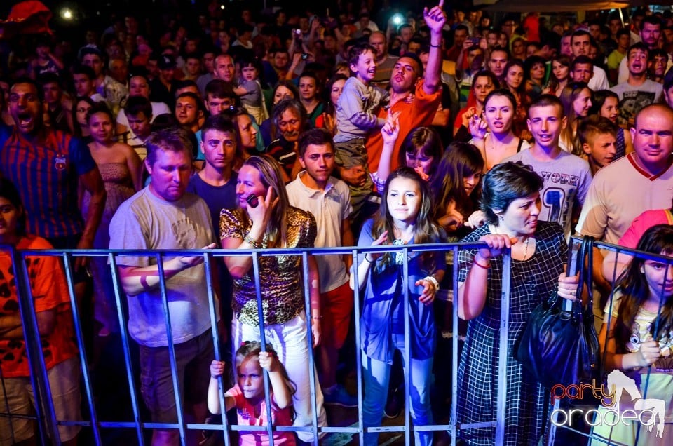 Concert în aer liber, Oradea