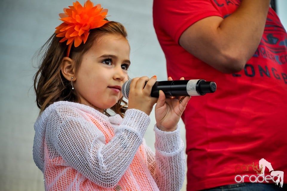 Concert în aer liber, Oradea