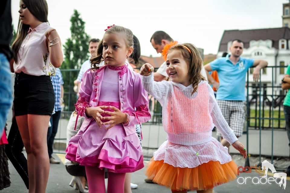 Concert în aer liber, Oradea