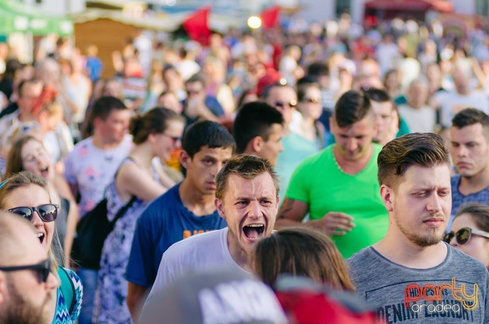 Concert Intim Torna Illegál, Cetatea Oradea