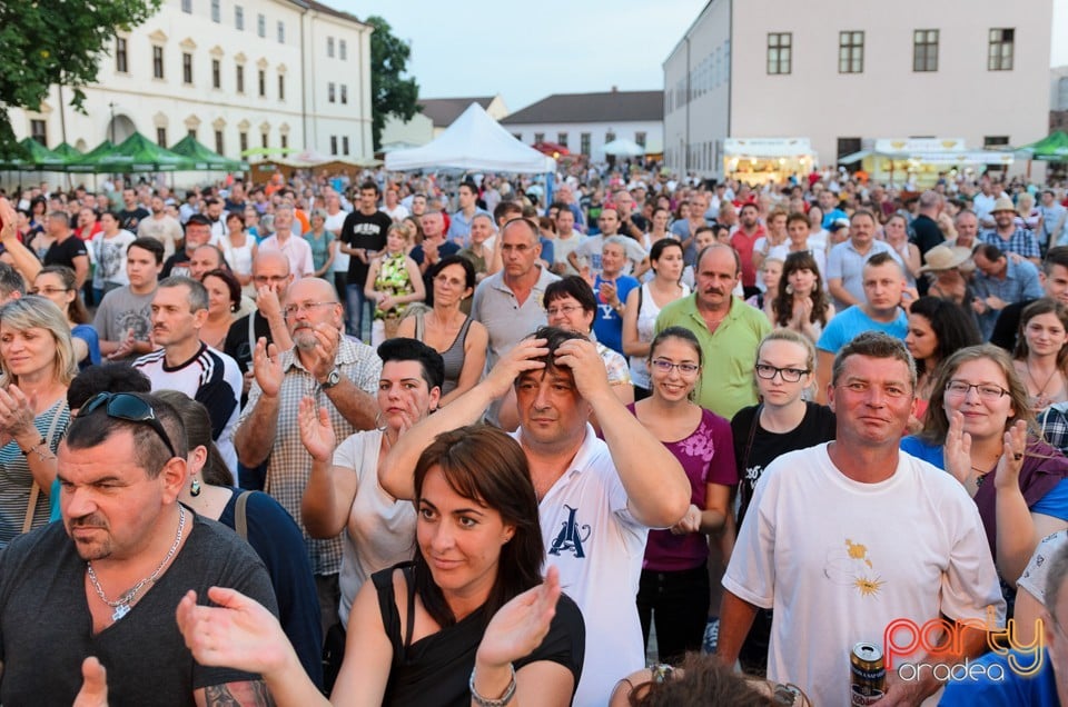 Concert Ismerős Arcok, Cetatea Oradea