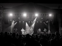 Concert Kormorán