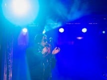 Concert Kormorán