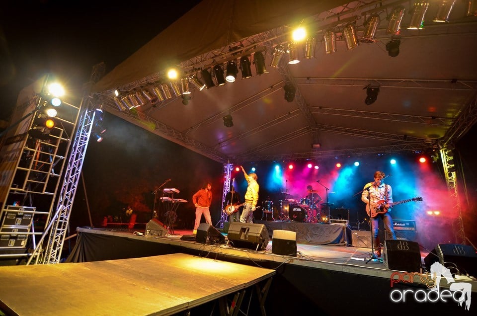 Concert Les Elephants Bizarres,