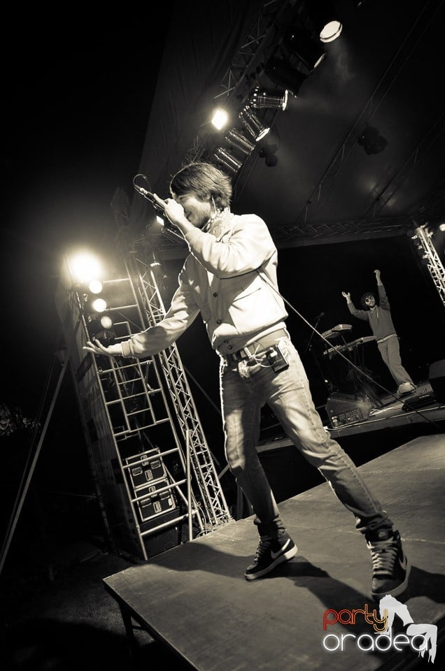 Concert Les Elephants Bizarres,
