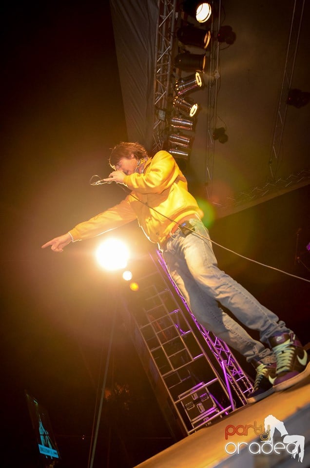 Concert Les Elephants Bizarres,