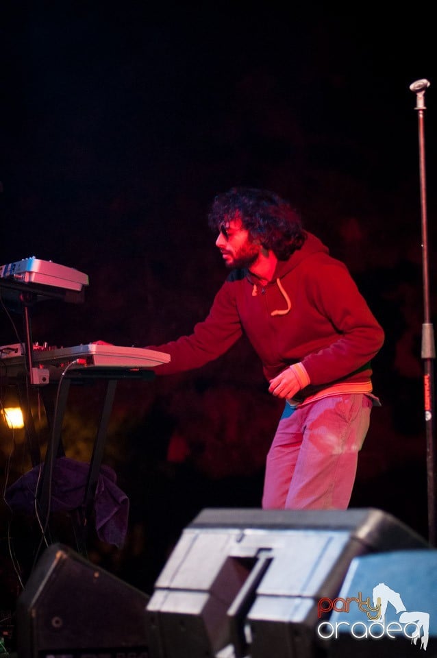 Concert Les Elephants Bizarres,