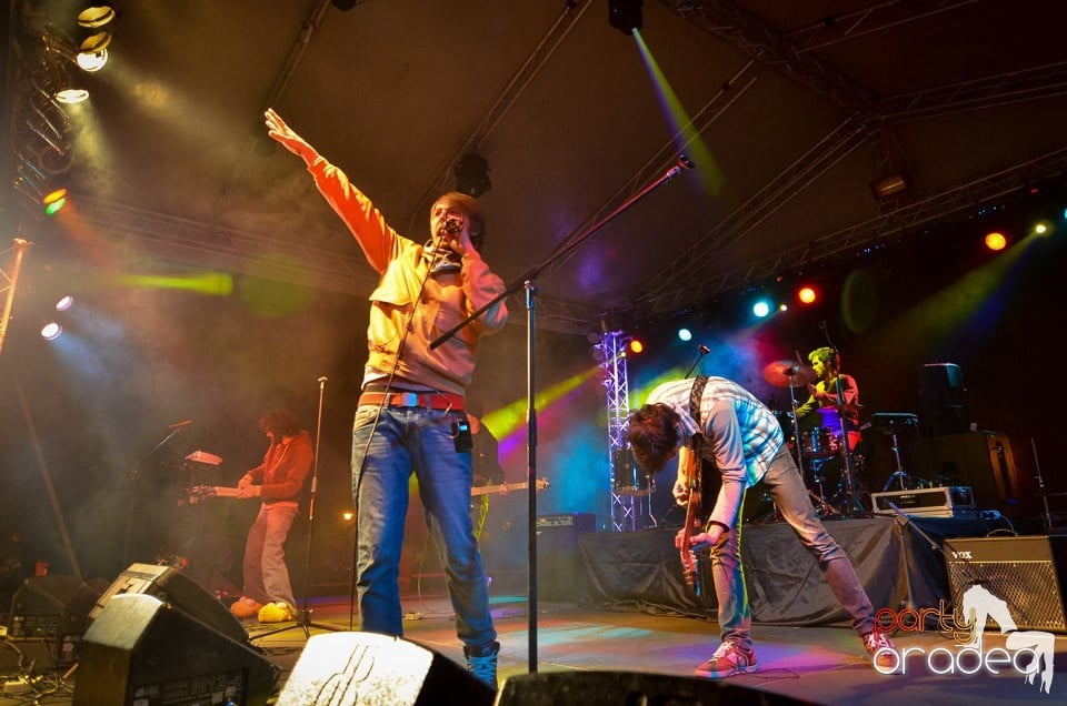 Concert Les Elephants Bizarres,