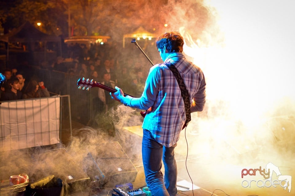 Concert Les Elephants Bizarres,