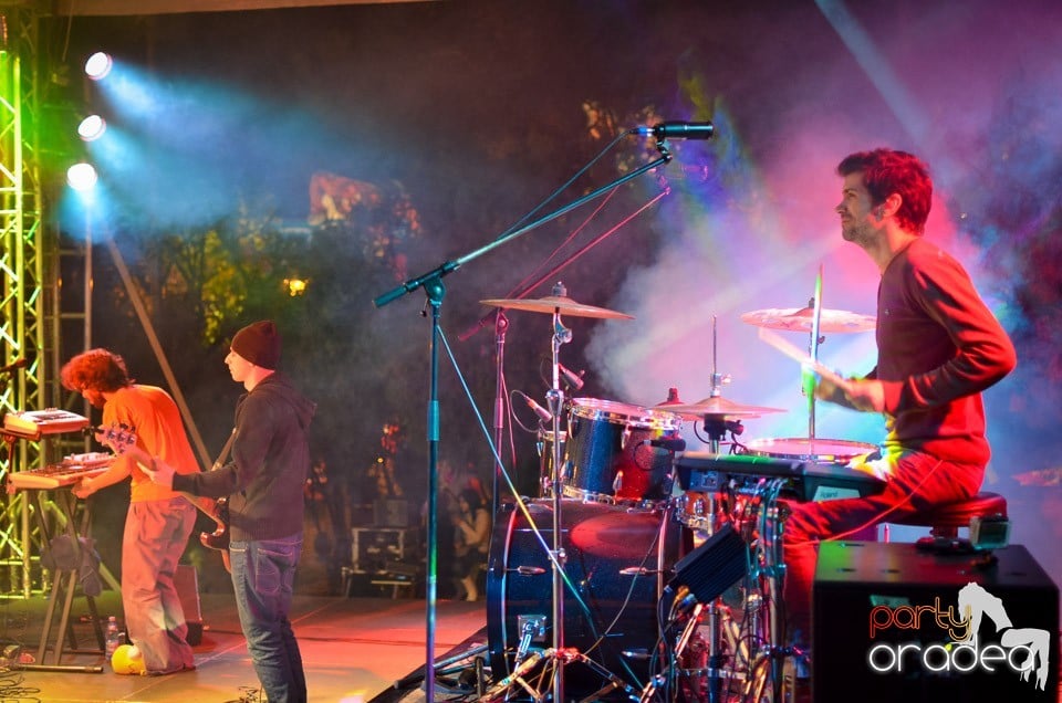 Concert Les Elephants Bizarres,