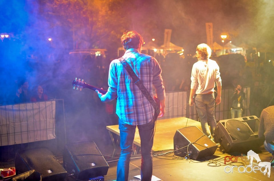 Concert Les Elephants Bizarres,