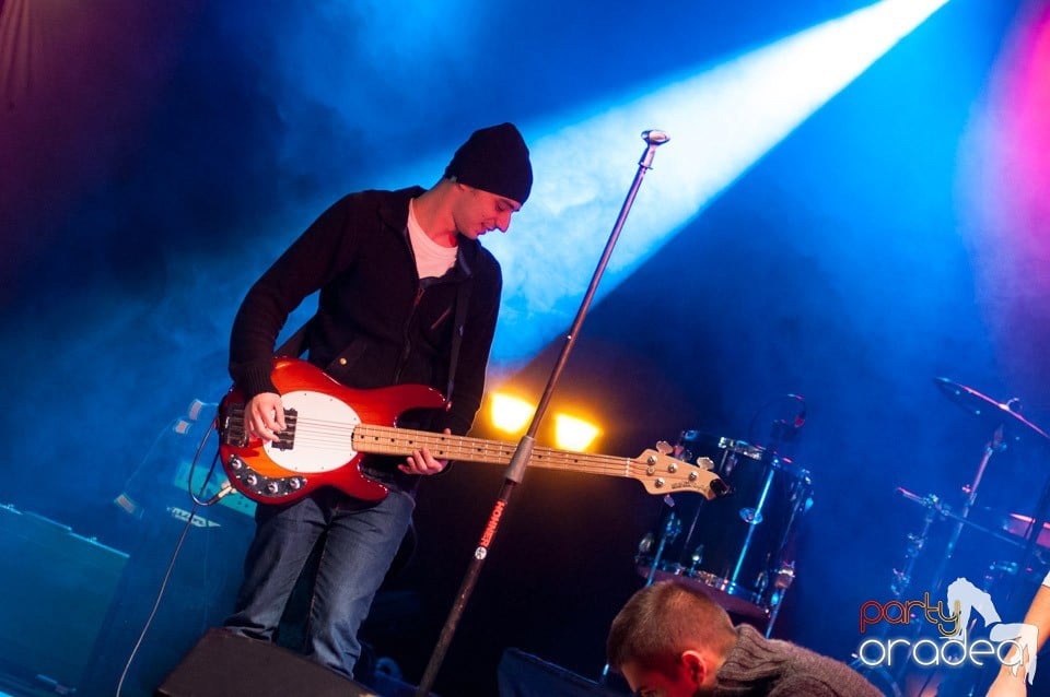 Concert Les Elephants Bizarres,
