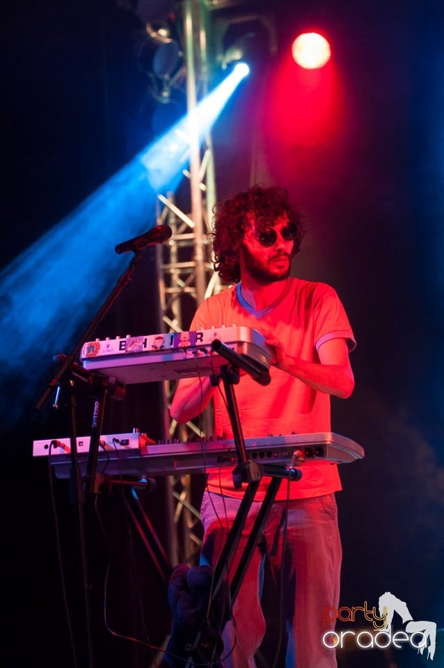 Concert Les Elephants Bizarres,