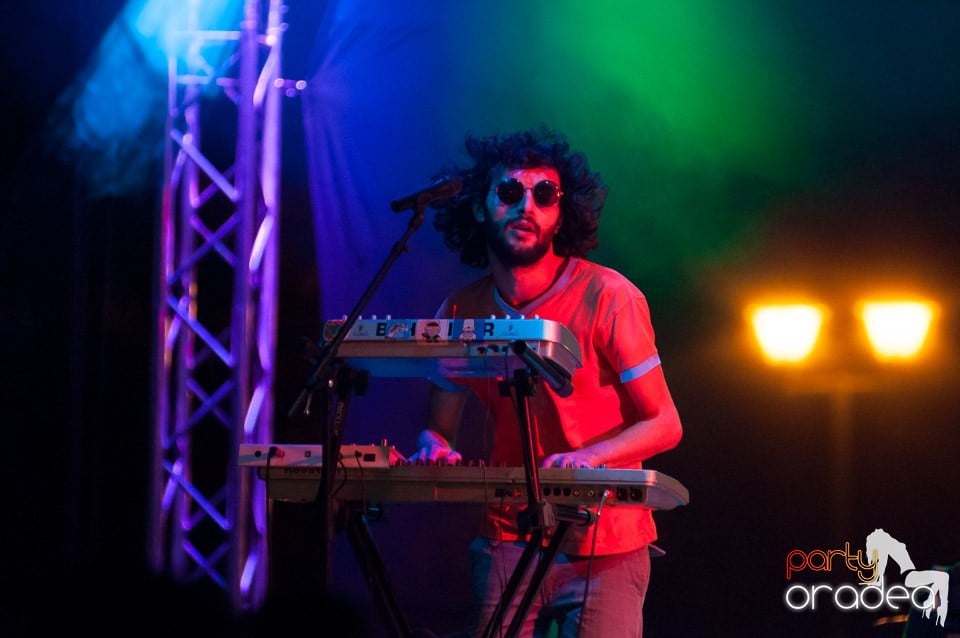 Concert Les Elephants Bizarres,