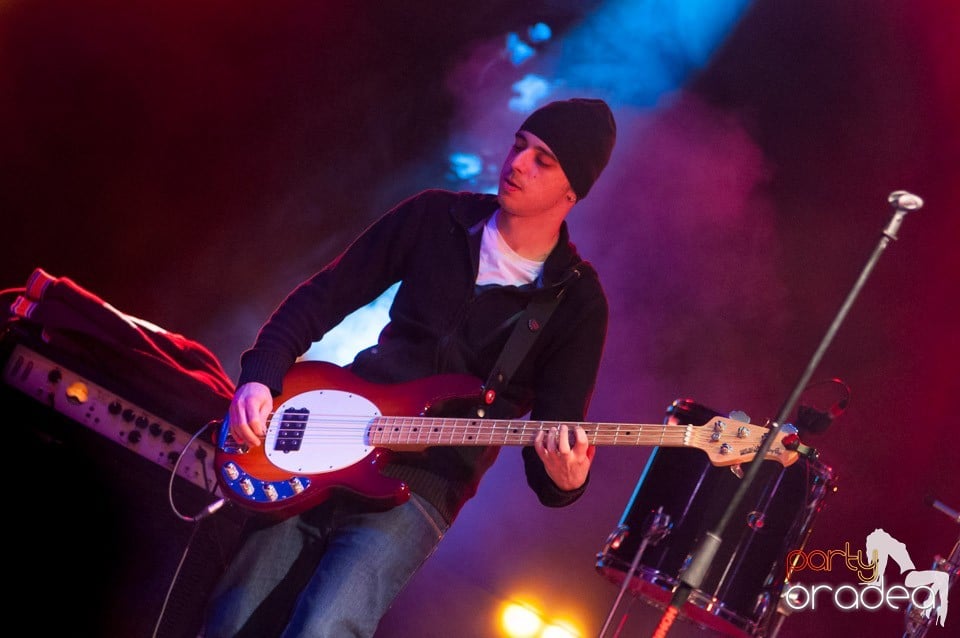 Concert Les Elephants Bizarres,