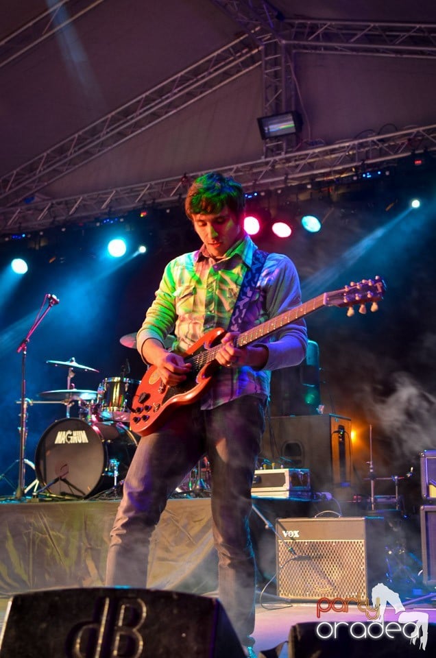 Concert Les Elephants Bizarres,