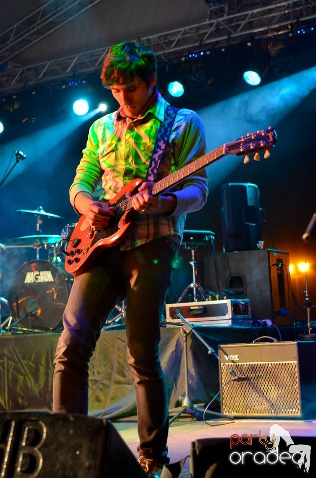 Concert Les Elephants Bizarres,