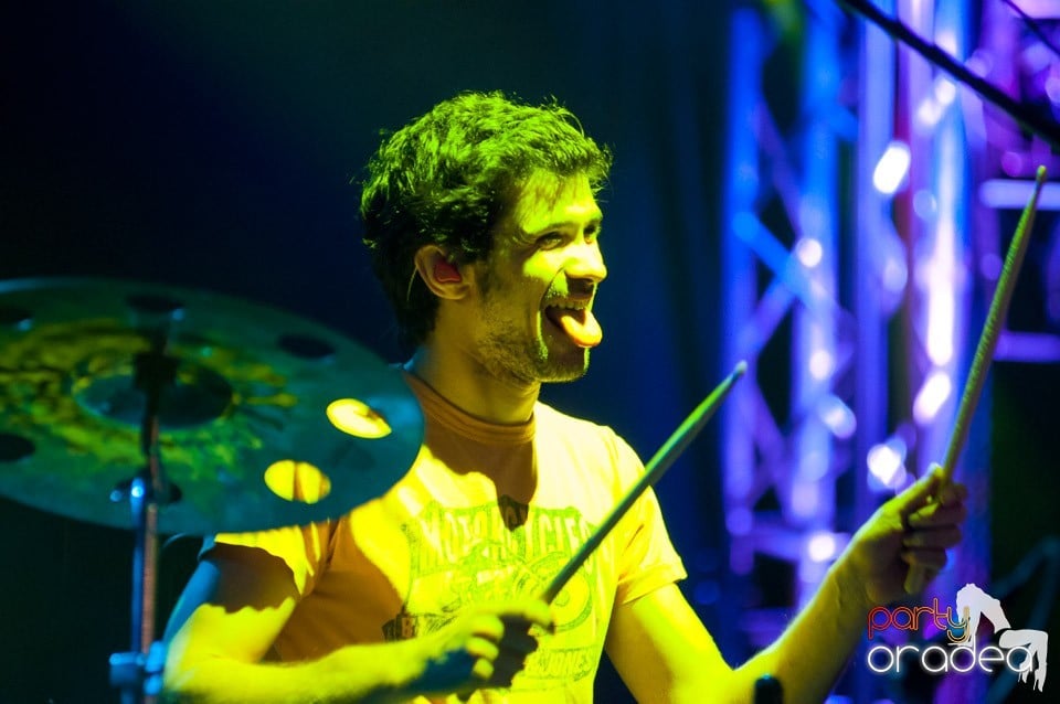 Concert Les Elephants Bizarres,