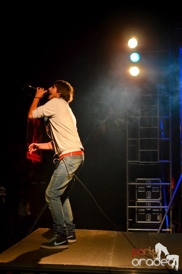 Concert Les Elephants Bizarres,