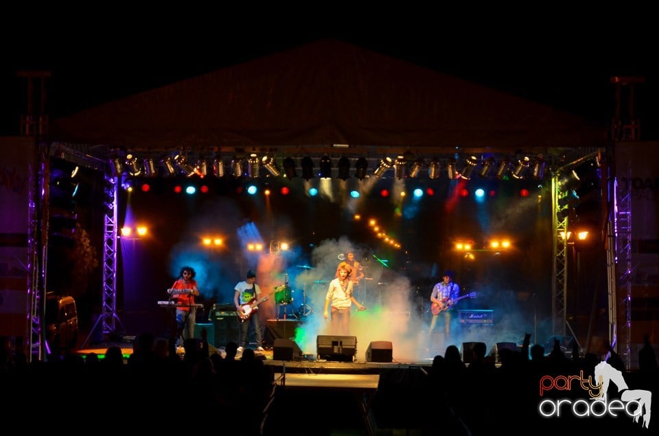 Concert Les Elephants Bizarres,