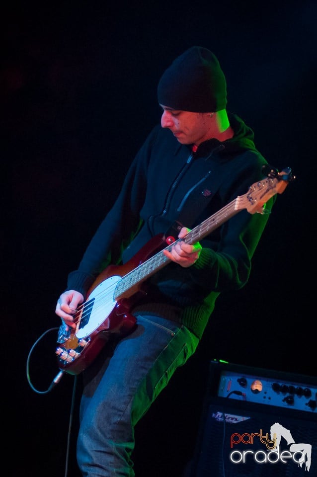 Concert Les Elephants Bizarres,