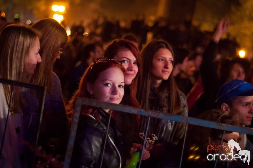 Concert Les Elephants Bizarres,