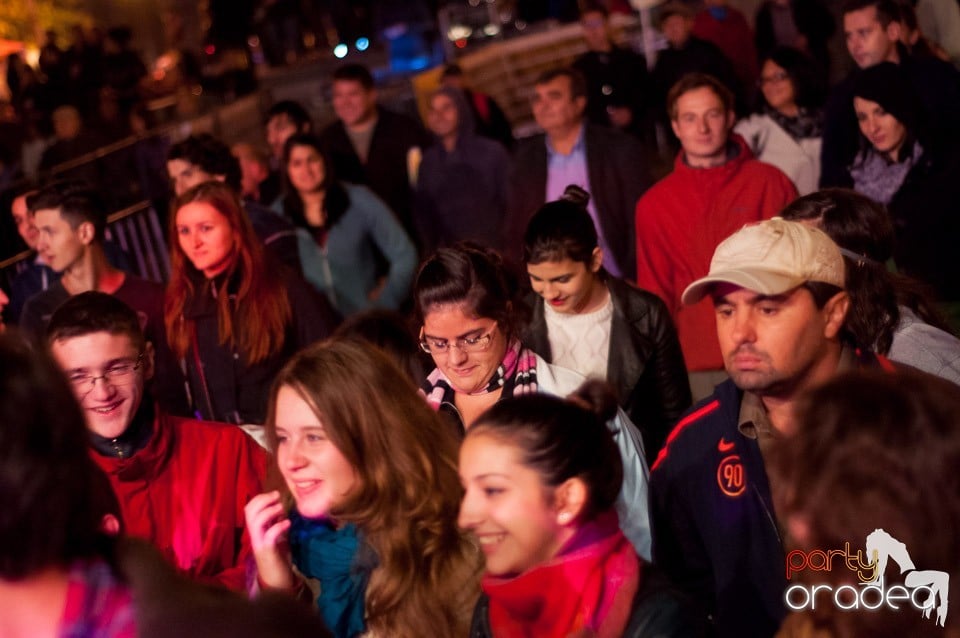 Concert Les Elephants Bizarres,