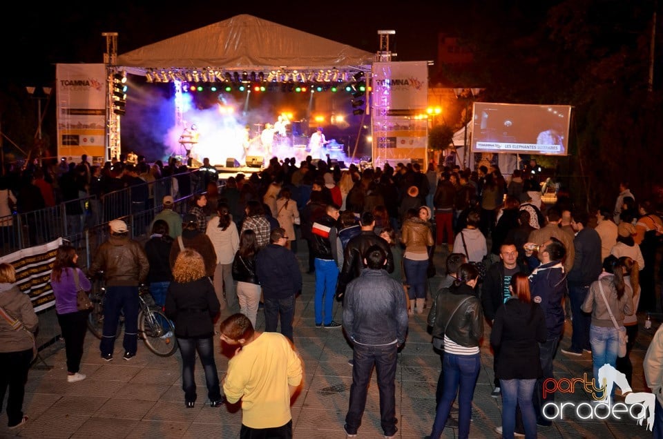 Concert Les Elephants Bizarres,