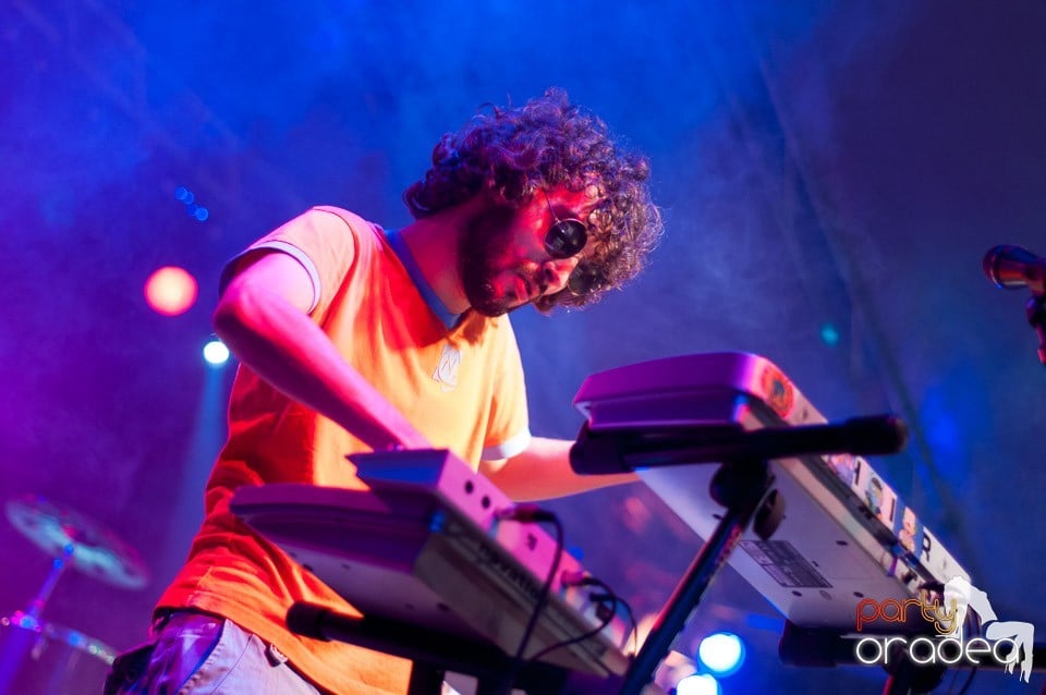 Concert Les Elephants Bizarres,