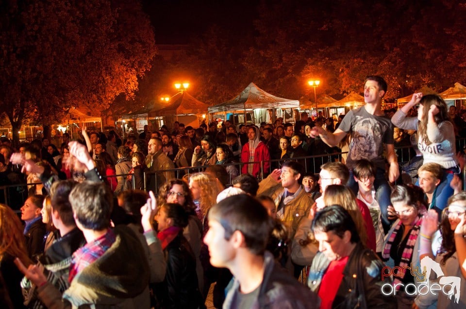 Concert Les Elephants Bizarres,