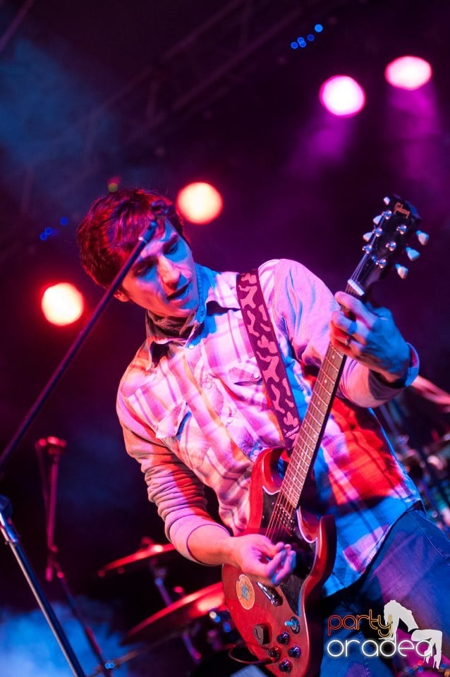 Concert Les Elephants Bizarres,