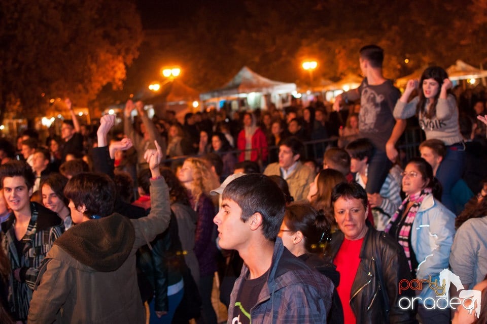 Concert Les Elephants Bizarres,