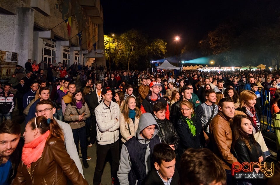 Concert Mihai Lipai, Oradea