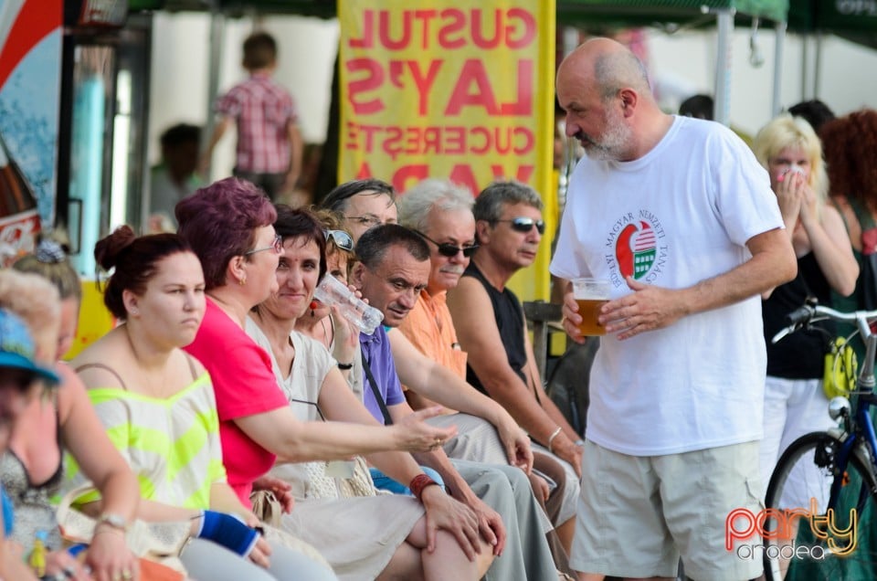 Concert Milagro Santana Band, Cetatea Oradea