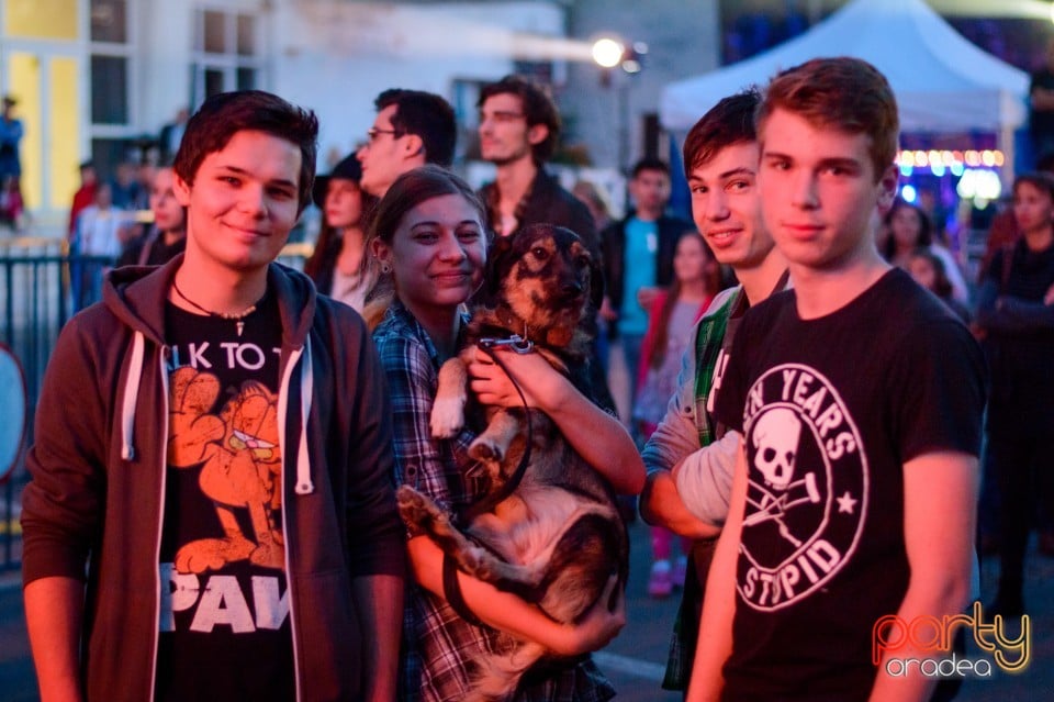 Concert N.O.R, Oradea