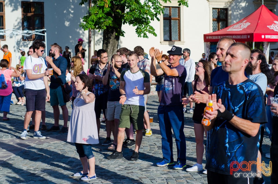 Concert Pannonia Allstars Ska Orchestra, Cetatea Oradea