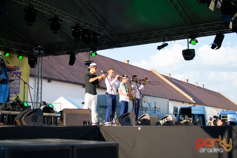 Concert Pannonia Allstars Ska Orchestra, Cetatea Oradea