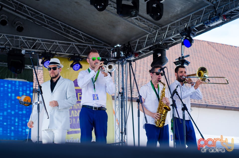 Concert Pannonia Allstars Ska Orchestra, Cetatea Oradea